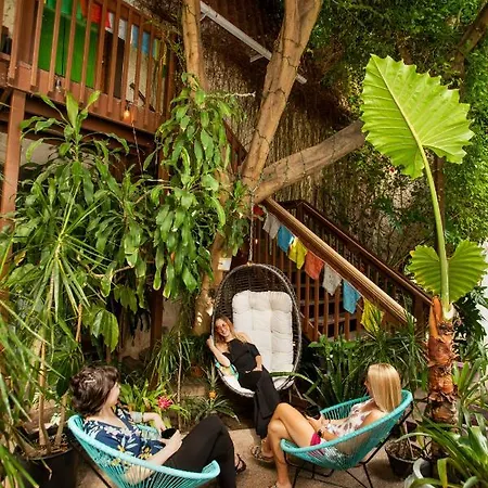 Solarium Colorado Hotel